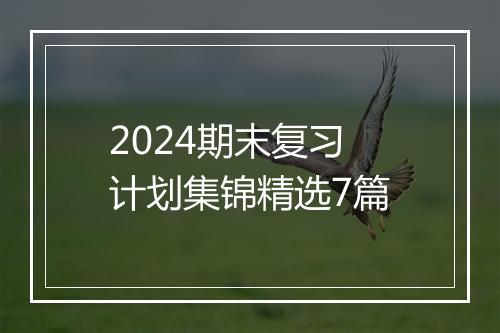 2024期末复习计划集锦精选7篇