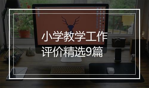 小学教学工作评价精选9篇