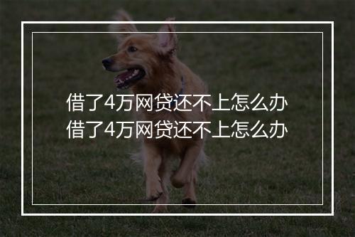 借了4万网贷还不上怎么办借了4万网贷还不上怎么办