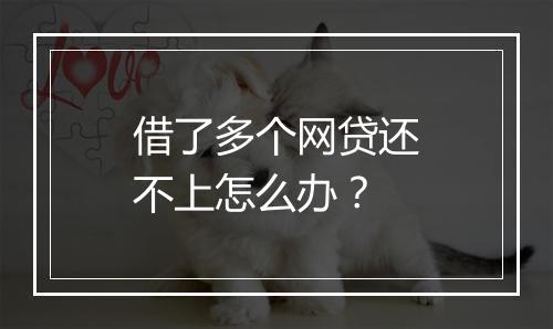 借了多个网贷还不上怎么办？