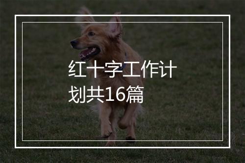 红十字工作计划共16篇