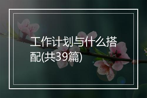 工作计划与什么搭配(共39篇)