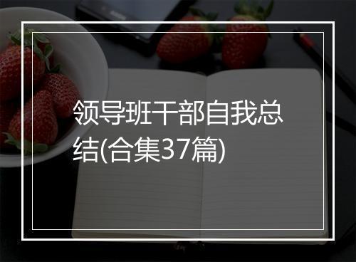领导班干部自我总结(合集37篇)