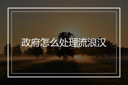 政府怎么处理流浪汉