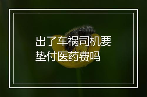出了车祸司机要垫付医药费吗