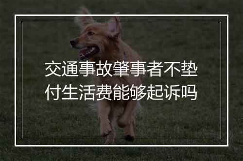 交通事故肇事者不垫付生活费能够起诉吗