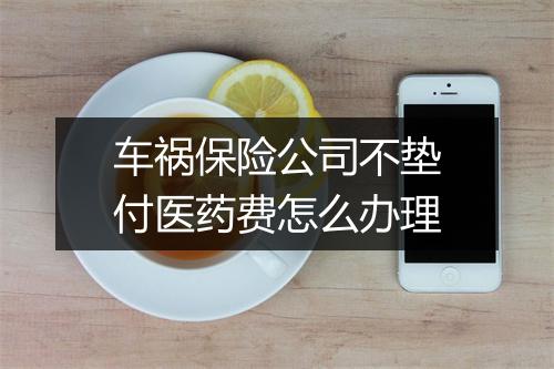车祸保险公司不垫付医药费怎么办理