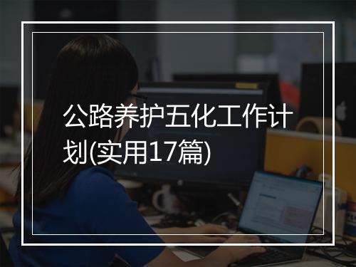 公路养护五化工作计划(实用17篇)
