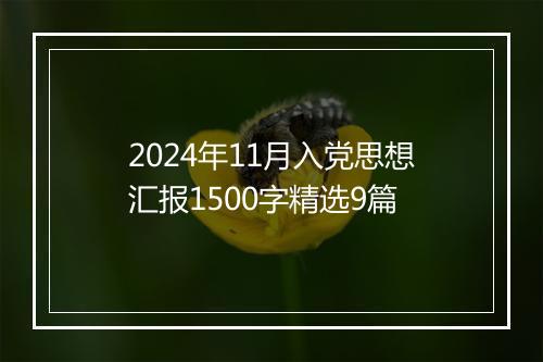 2024年11月入党思想汇报1500字精选9篇
