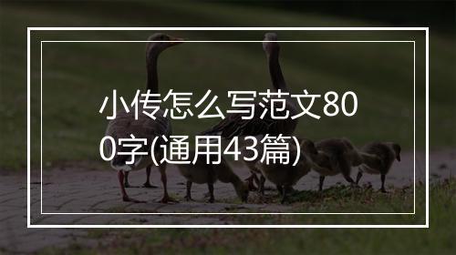 小传怎么写范文800字(通用43篇)