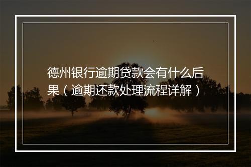 德州银行逾期贷款会有什么后果（逾期还款处理流程详解）
