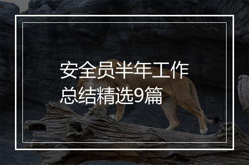 安全员半年工作总结精选9篇