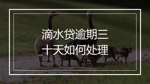 滴水贷逾期三十天如何处理