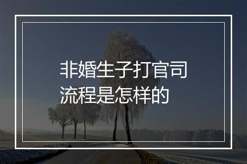 非婚生子打官司流程是怎样的