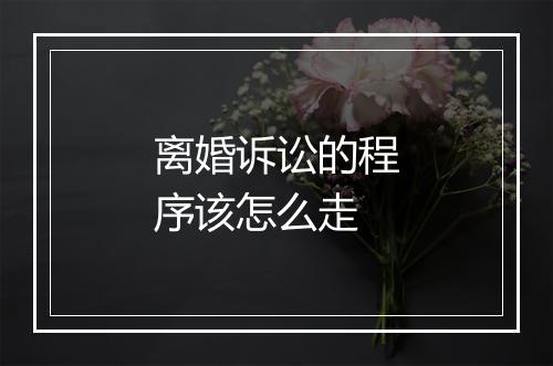 离婚诉讼的程序该怎么走