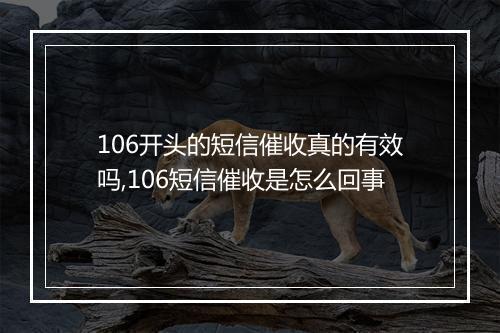 106开头的短信催收真的有效吗,106短信催收是怎么回事