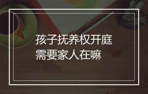 孩子抚养权开庭需要家人在嘛