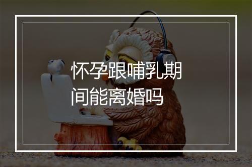 怀孕跟哺乳期间能离婚吗