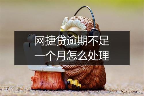 网捷贷逾期不足一个月怎么处理