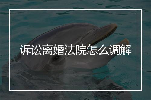诉讼离婚法院怎么调解
