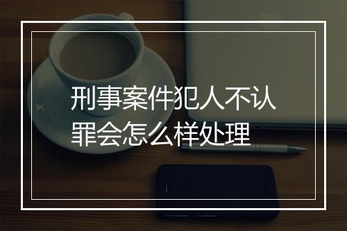 刑事案件犯人不认罪会怎么样处理