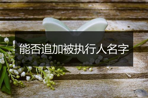 能否追加被执行人名字