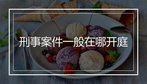刑事案件一般在哪开庭