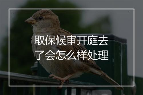 取保候审开庭去了会怎么样处理