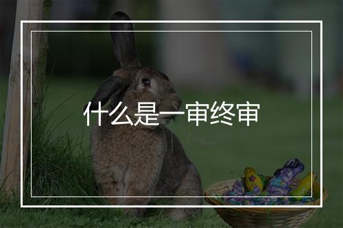 什么是一审终审