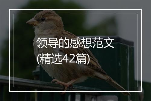 领导的感想范文(精选42篇)