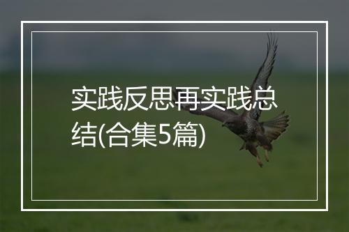 实践反思再实践总结(合集5篇)