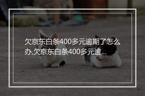 欠京东白条400多元逾期了怎么办,欠京东白条400多元逾期了如何还款