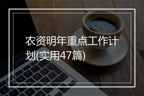 农资明年重点工作计划(实用47篇)