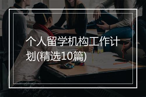 个人留学机构工作计划(精选10篇)