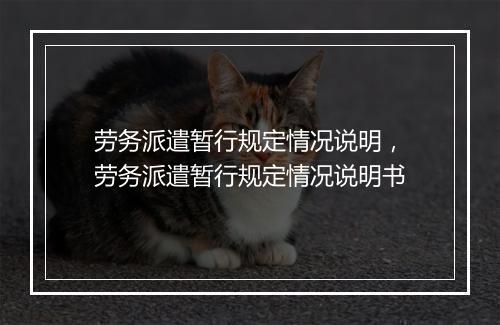 劳务派遣暂行规定情况说明，劳务派遣暂行规定情况说明书