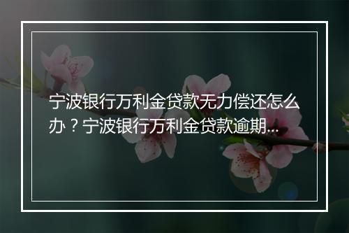 宁波银行万利金贷款无力偿还怎么办？宁波银行万利金贷款逾期处理攻略
