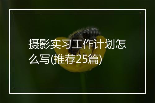 摄影实习工作计划怎么写(推荐25篇)