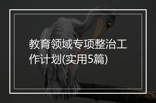 教育领域专项整治工作计划(实用5篇)