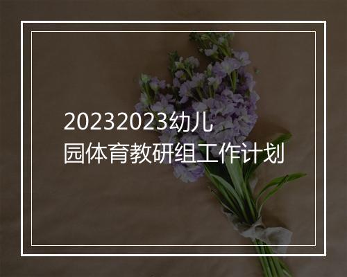 20232023幼儿园体育教研组工作计划