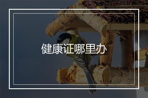健康证哪里办