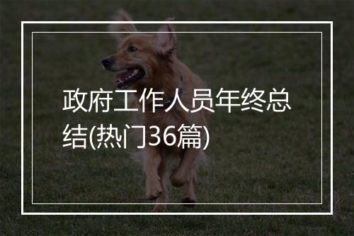 政府工作人员年终总结(热门36篇)
