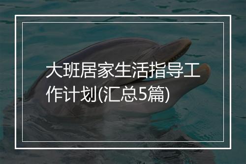 大班居家生活指导工作计划(汇总5篇)