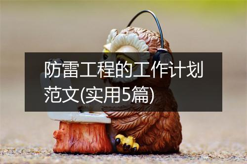 防雷工程的工作计划范文(实用5篇)