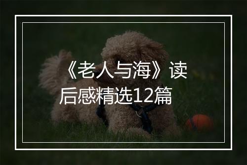 《老人与海》读后感精选12篇