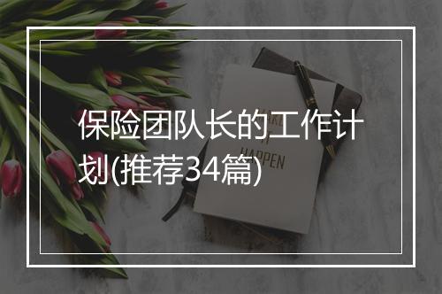 保险团队长的工作计划(推荐34篇)