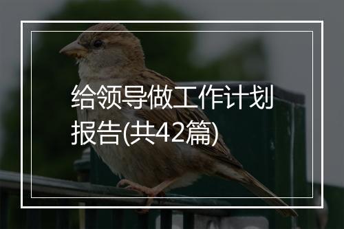 给领导做工作计划报告(共42篇)