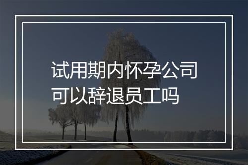试用期内怀孕公司可以辞退员工吗