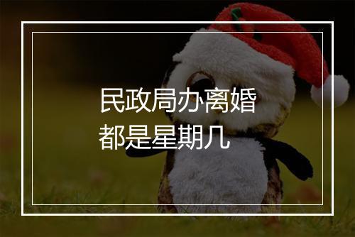 民政局办离婚都是星期几