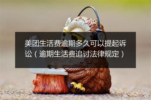 美团生活费逾期多久可以提起诉讼（逾期生活费追讨法律规定）