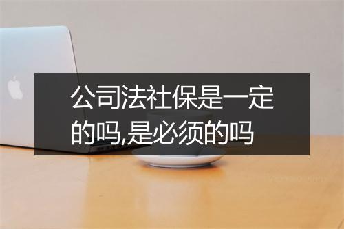 公司法社保是一定的吗,是必须的吗